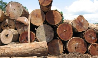 log pile of ipe wood