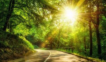 windy road in wooded area