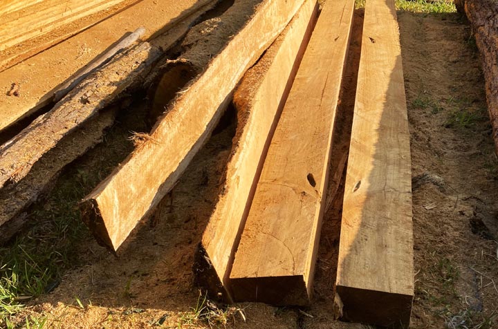 freshly sawn Meranti wood