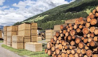 log pile beside pile of cut wood boards