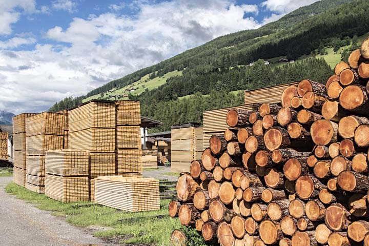 log pile beside pile of cut wood boards
