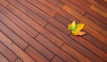 colorful fall maple leaf on richly colored Ipe decking